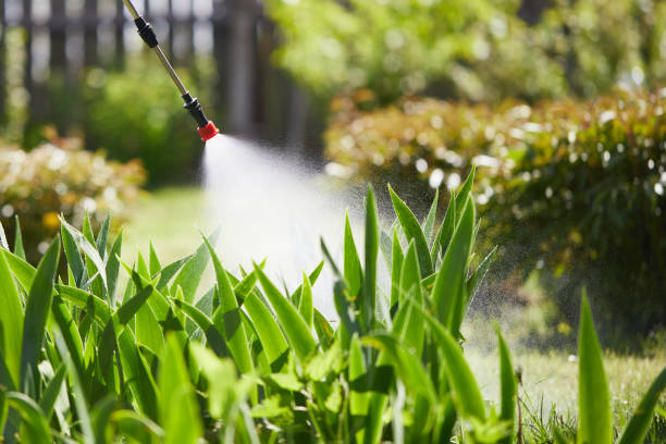 24/7 Emergency Bed Bug Control experts in Hill City, KS