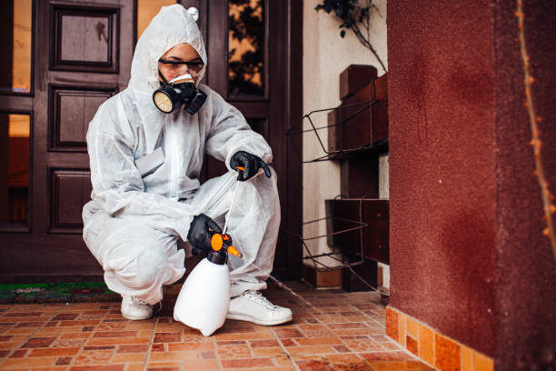 Reliable Bed Bug Control contractor in Hill City, KS by Nex Pest Control