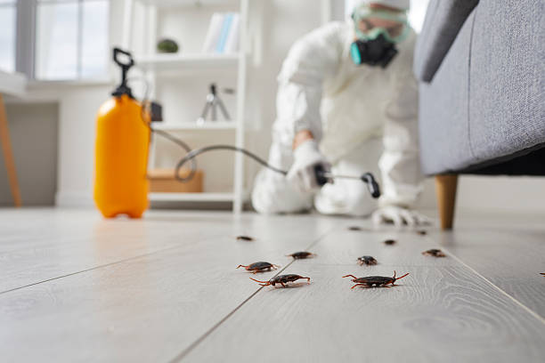 Trusted Termite Control service in Hill City, KS - Nex Pest Control