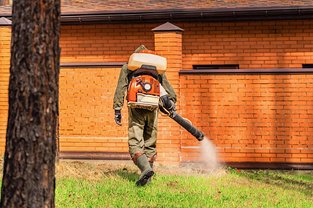 Trusted Bed Bug Control service in Hill City, KS - Nex Pest Control